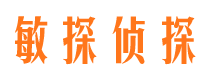 花山敏探私家侦探公司